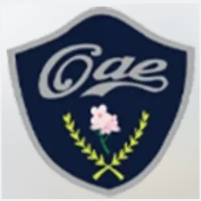 O.A.E.株式会社のロゴ